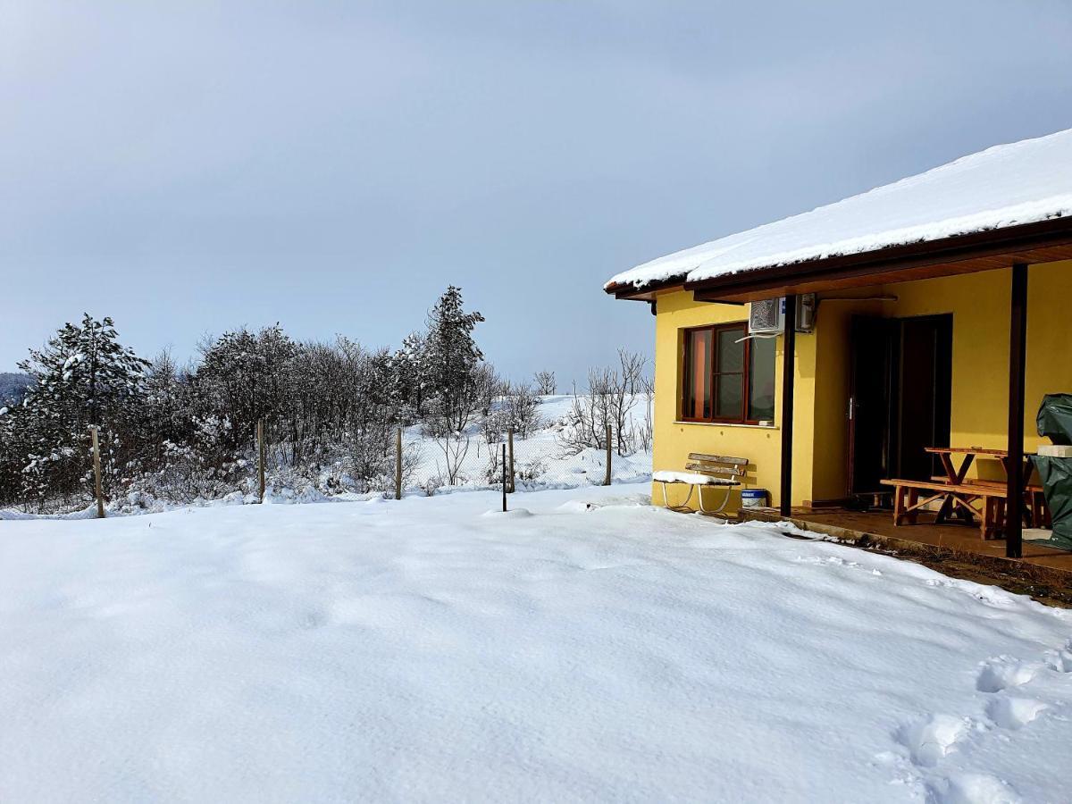 Malavi Guest House Krasen! Comfort&Clean! Exteriér fotografie